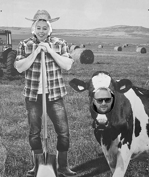 A team member standing deadpan in a field next to a cow